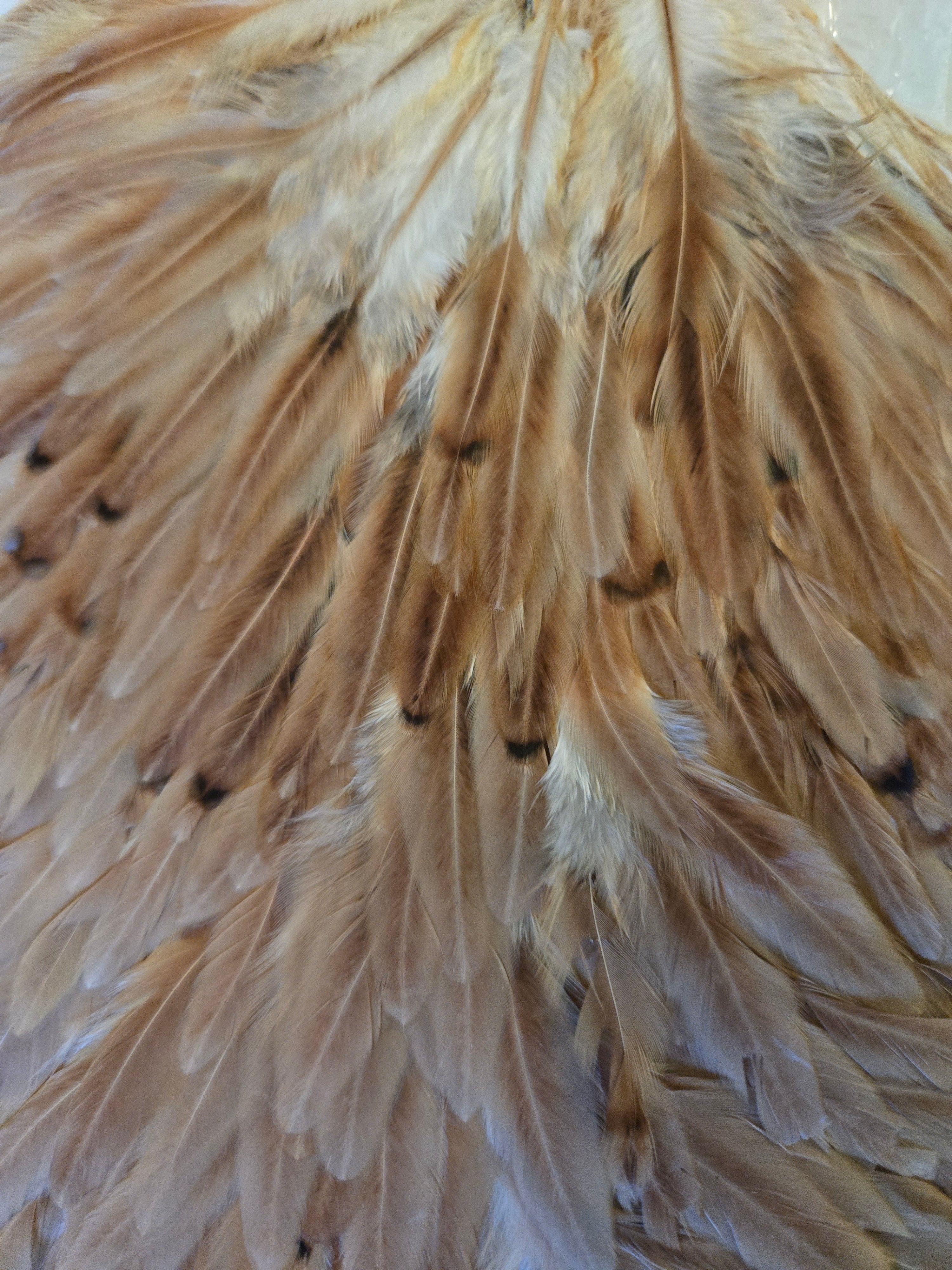 Whiting Wet Fly Hackle - Hen Saddle Medium Ginger (9)