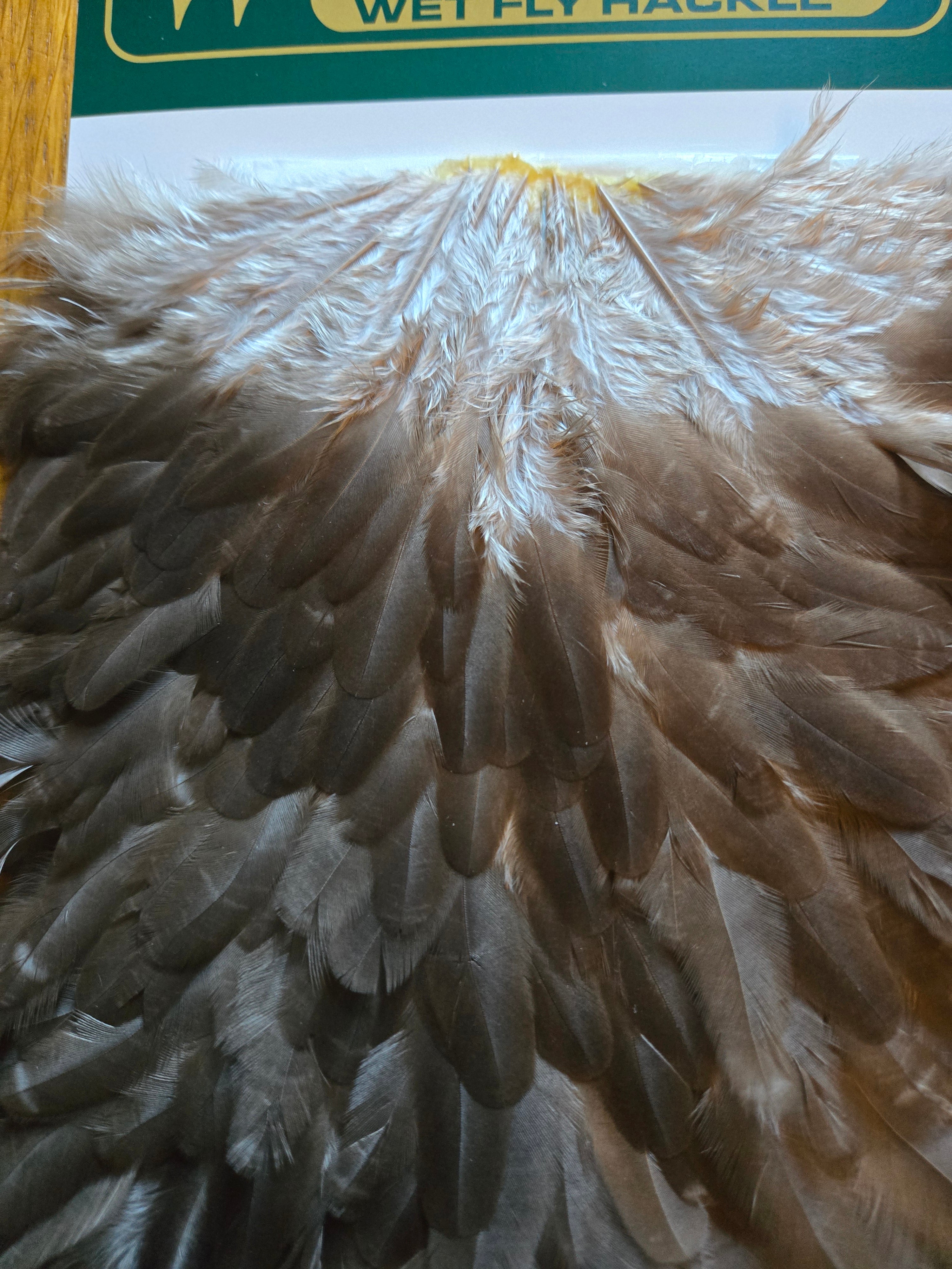 Whiting Hebert Miner Wet Fly Hackle - Hen Saddle Dark Brown Dun (32)