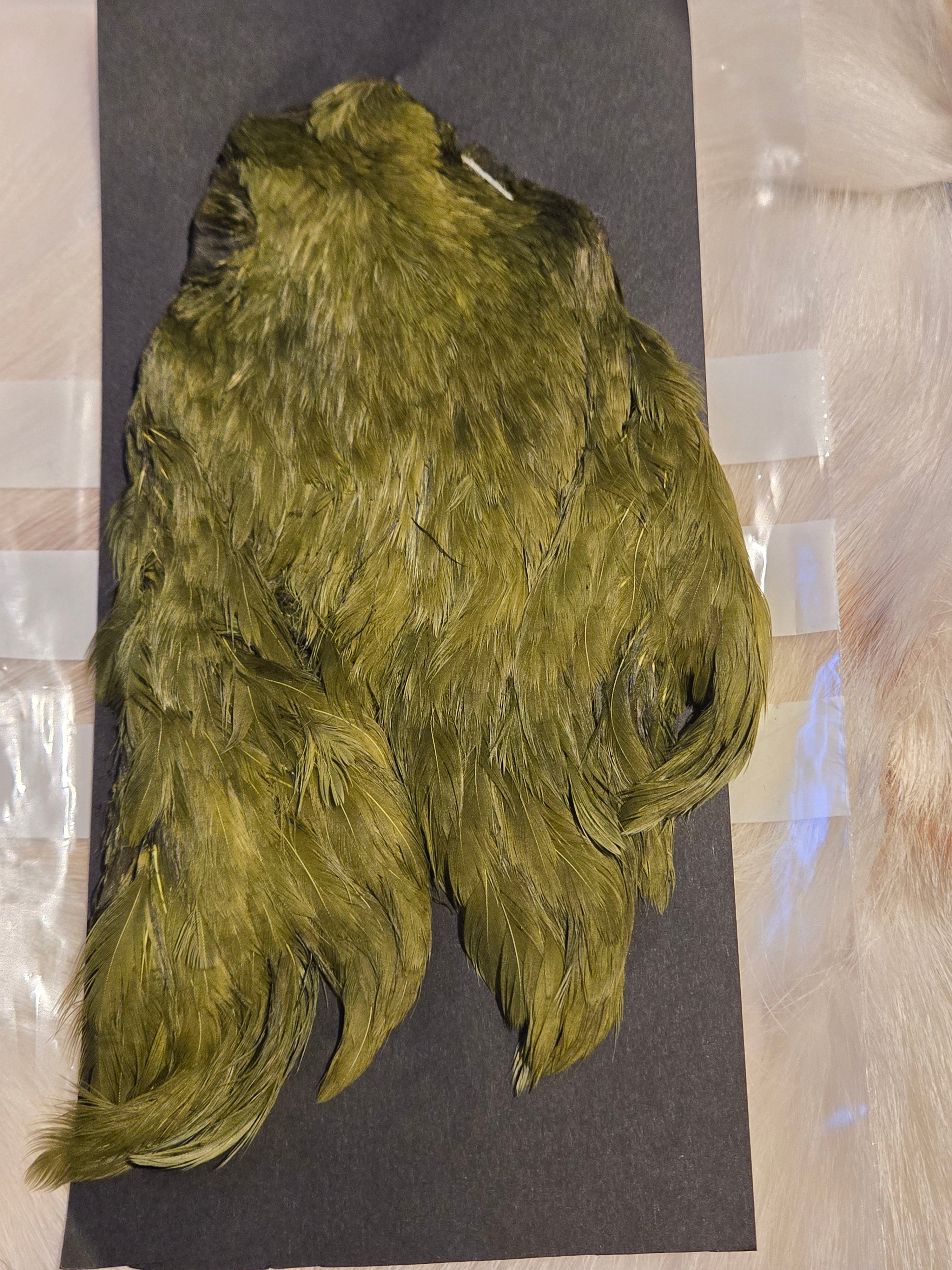 Indian Hen Neck