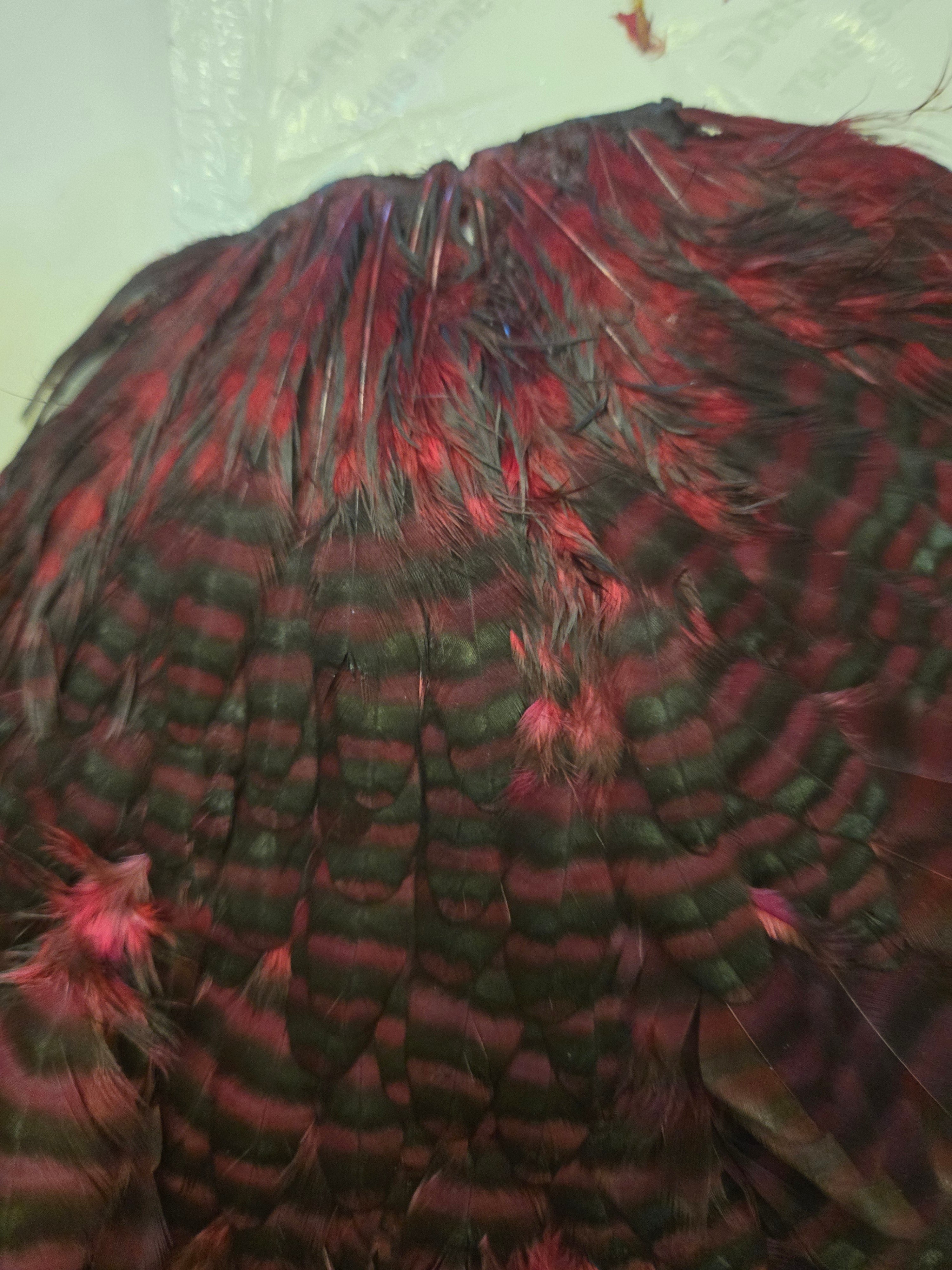 Whiting Wet Fly Hackle - Grizzly Dyed Claret (93)