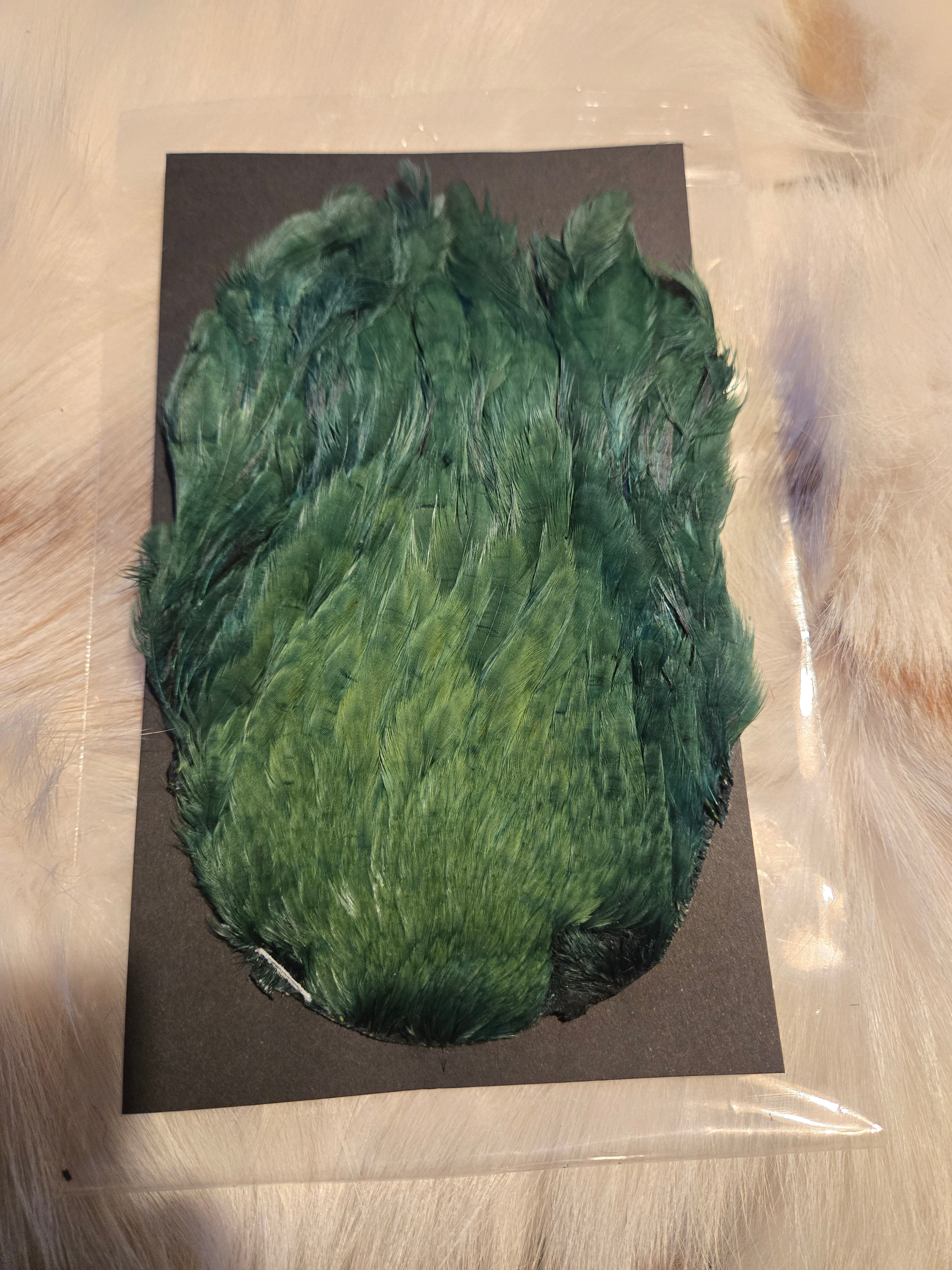 Indian Hen Neck