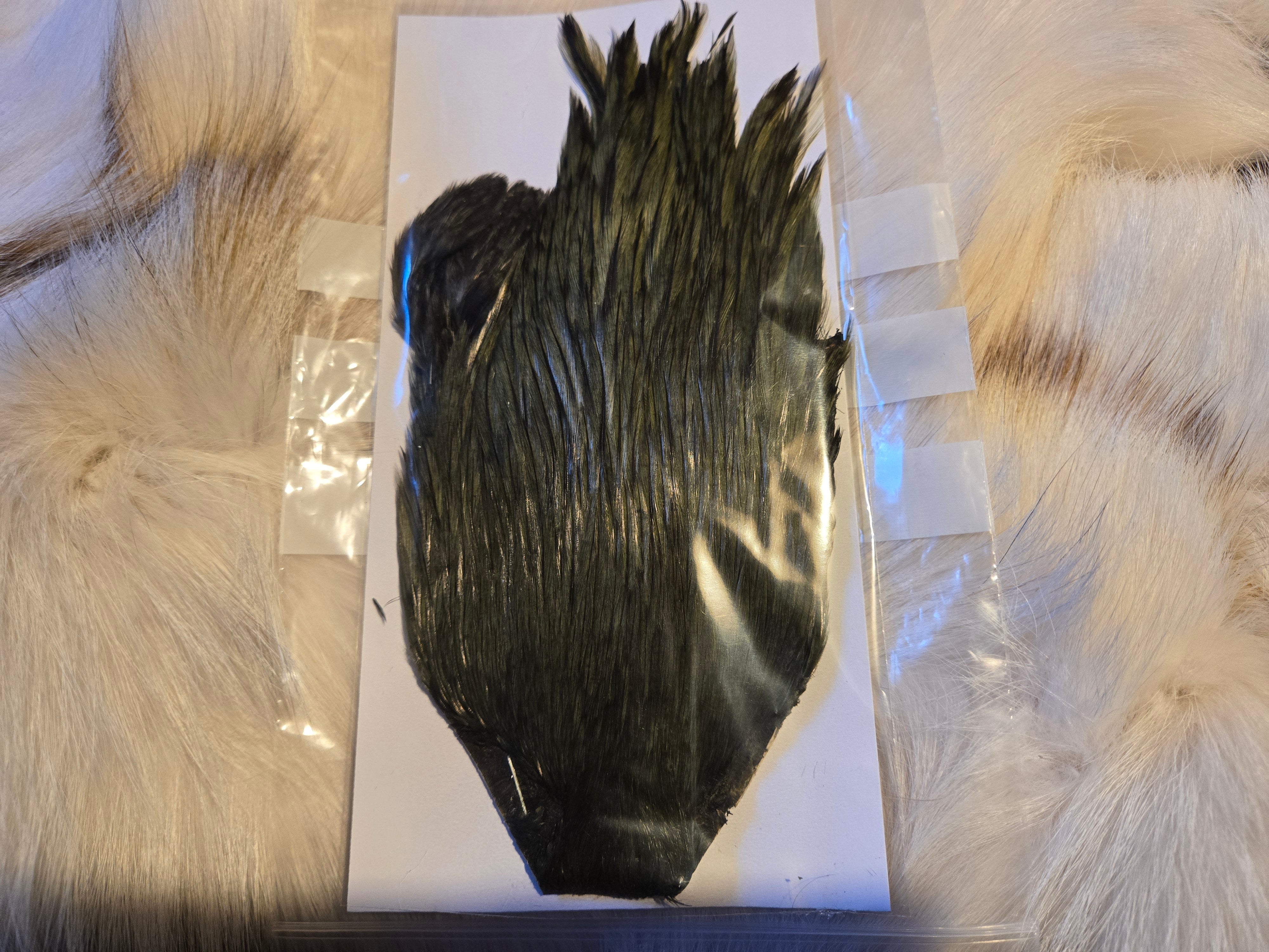 Indian Cock Neck Capes