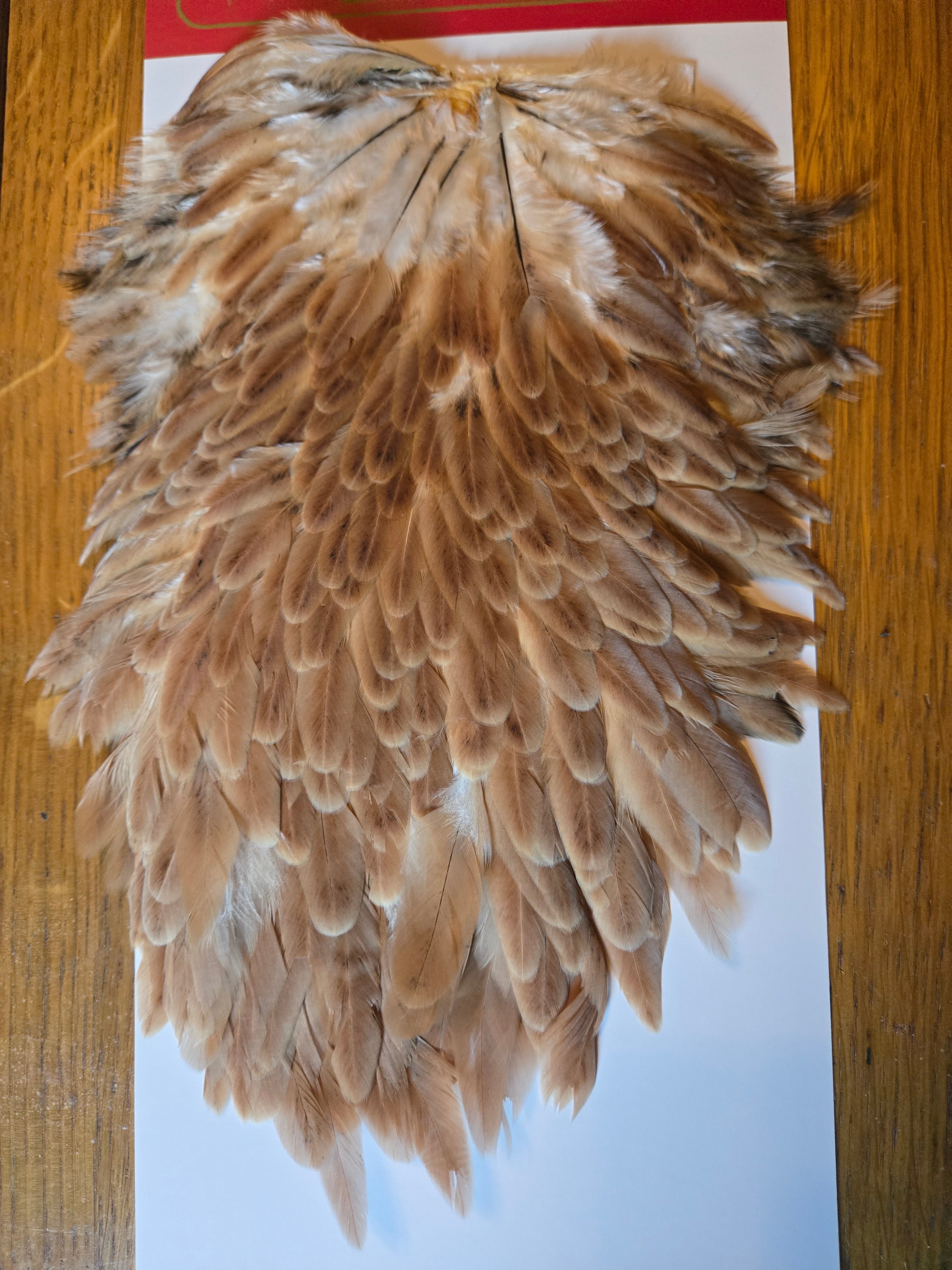 Whiting Wet Fly Hackle - Hen Saddle Medium Ginger (3)