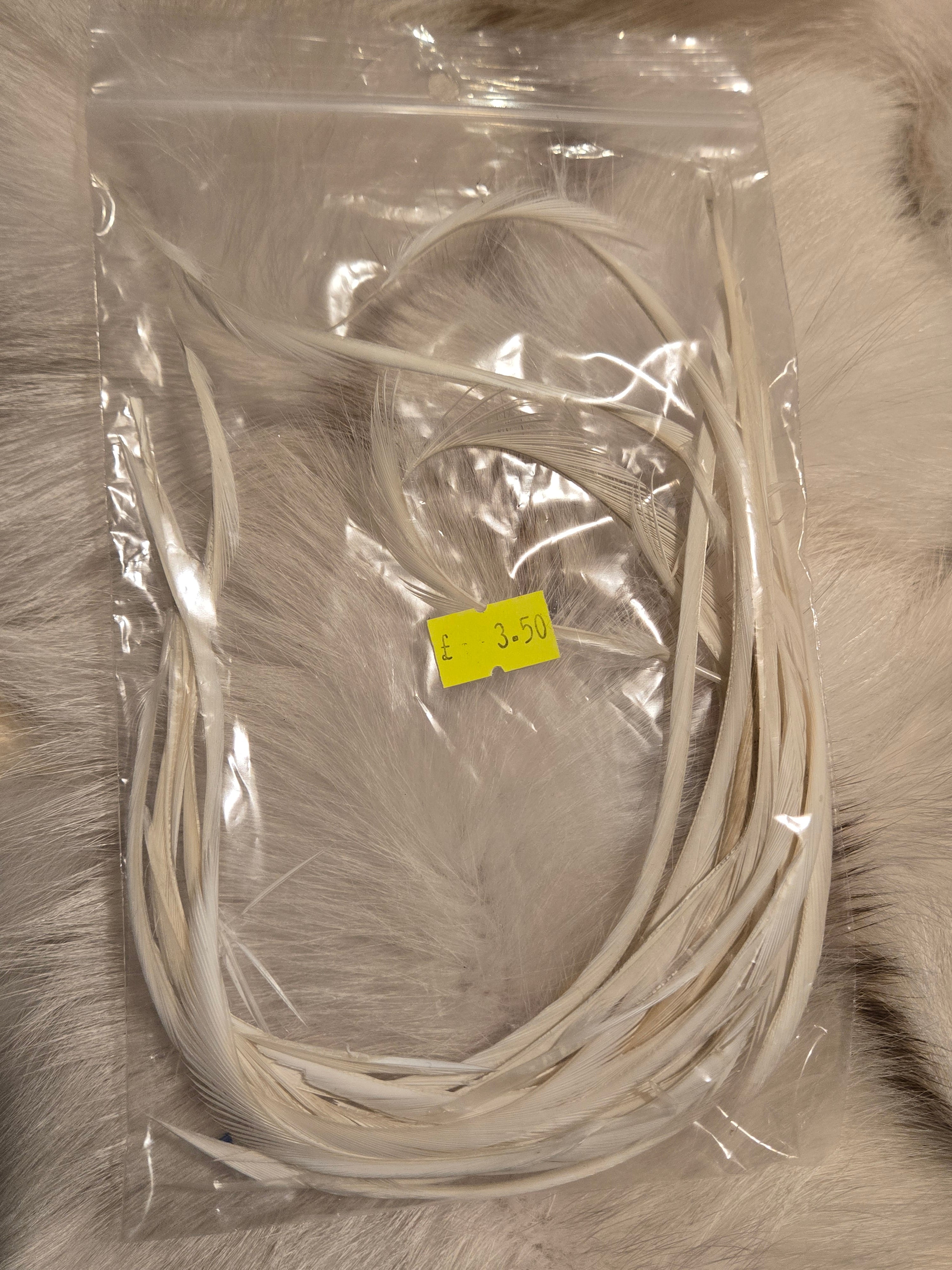 Goose Biots - Large packs