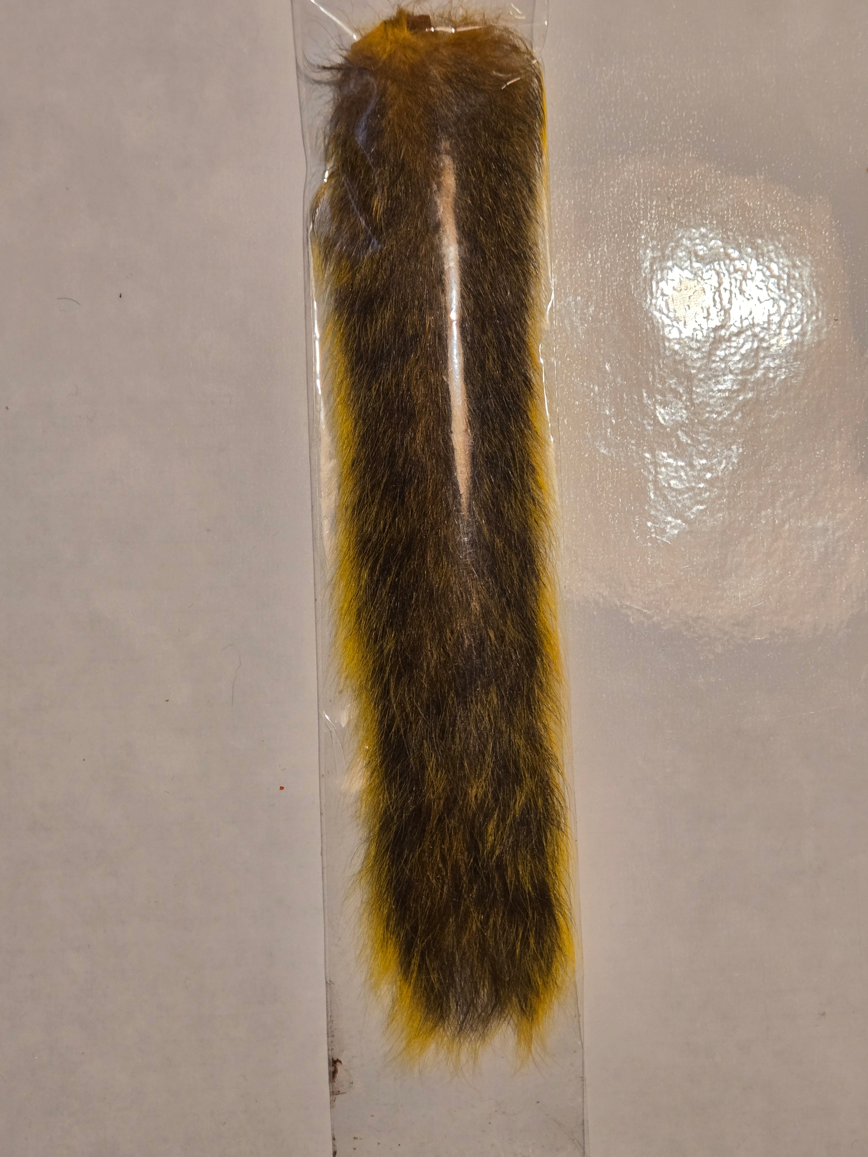 Squirrel Tail
