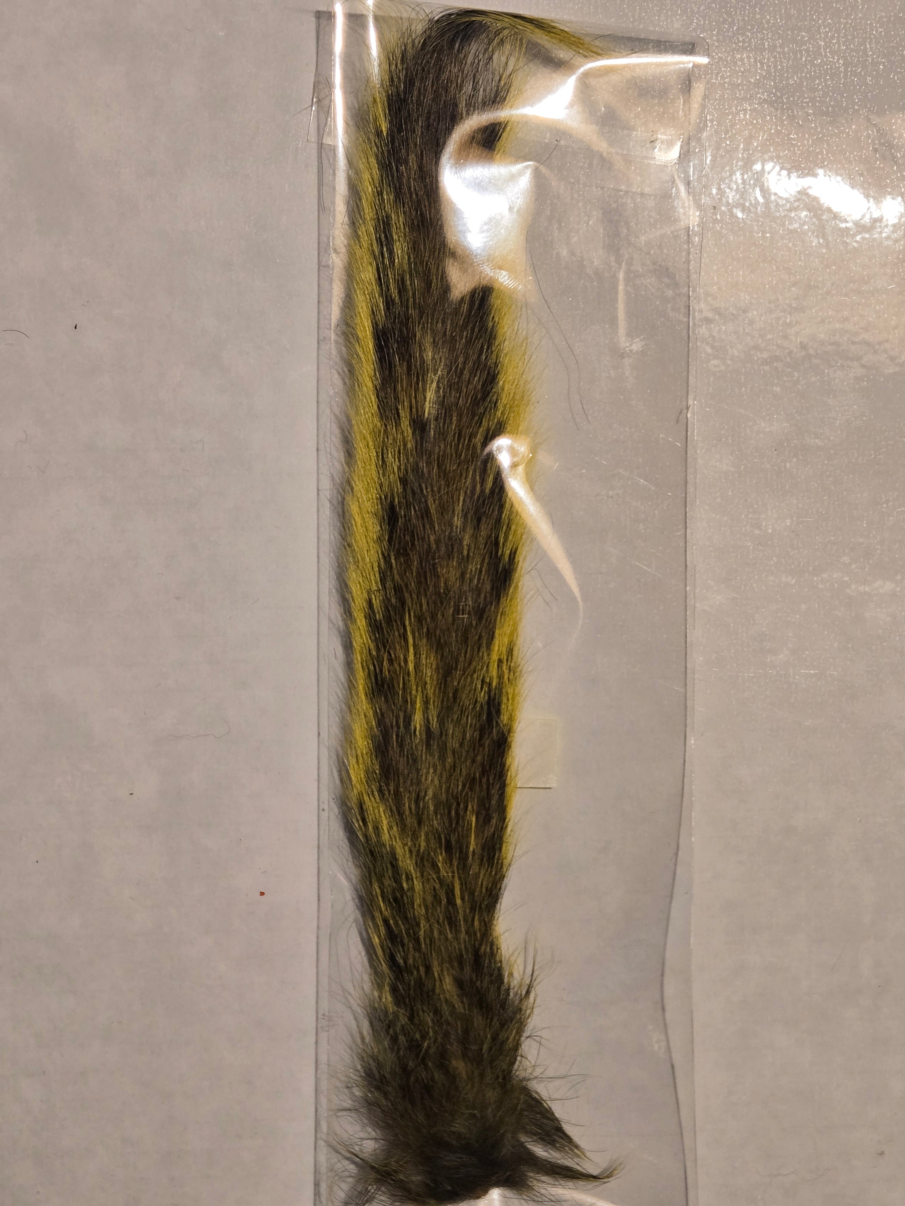Squirrel Tail
