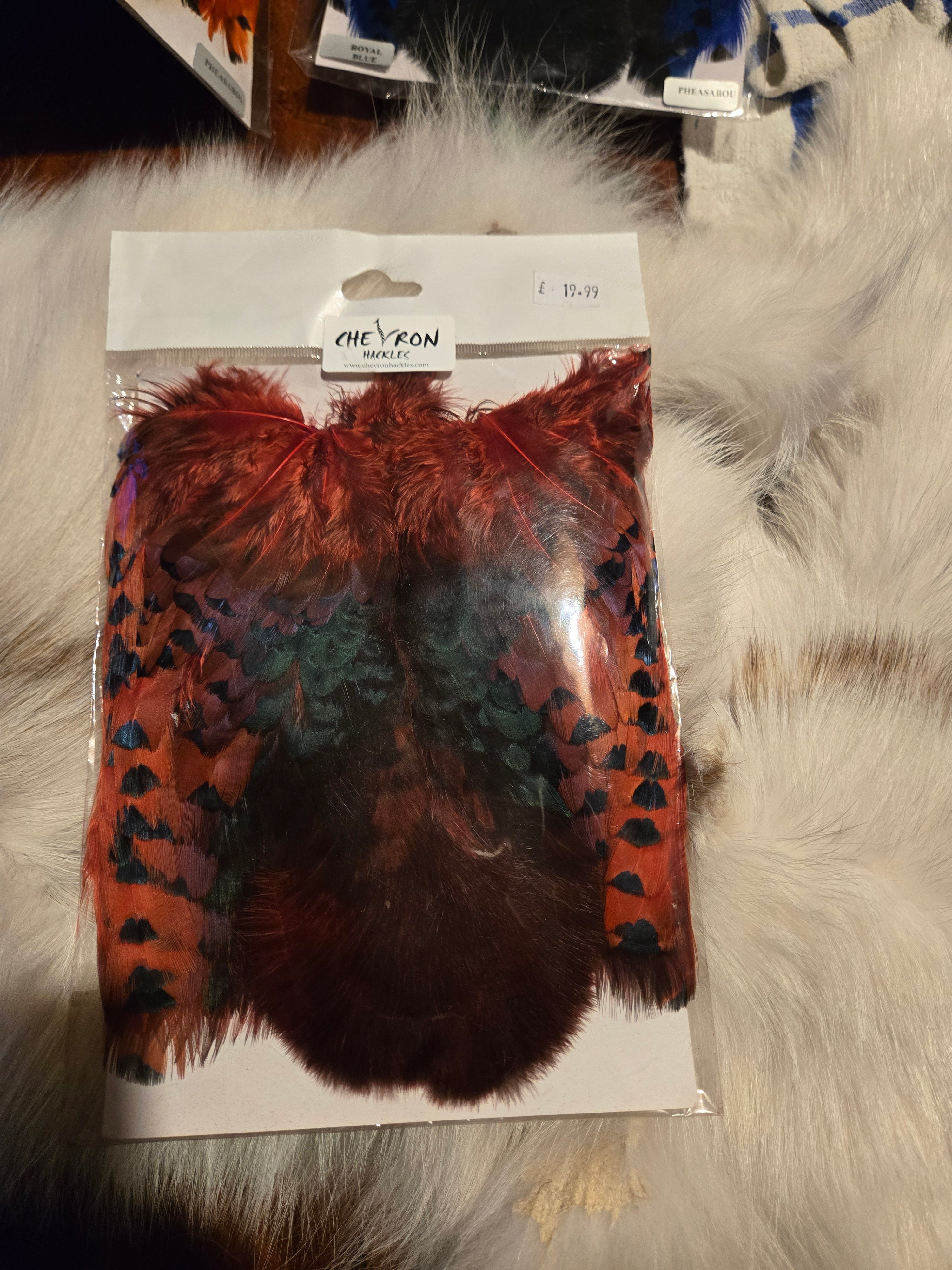 Chevron Hackles - Pheasabou