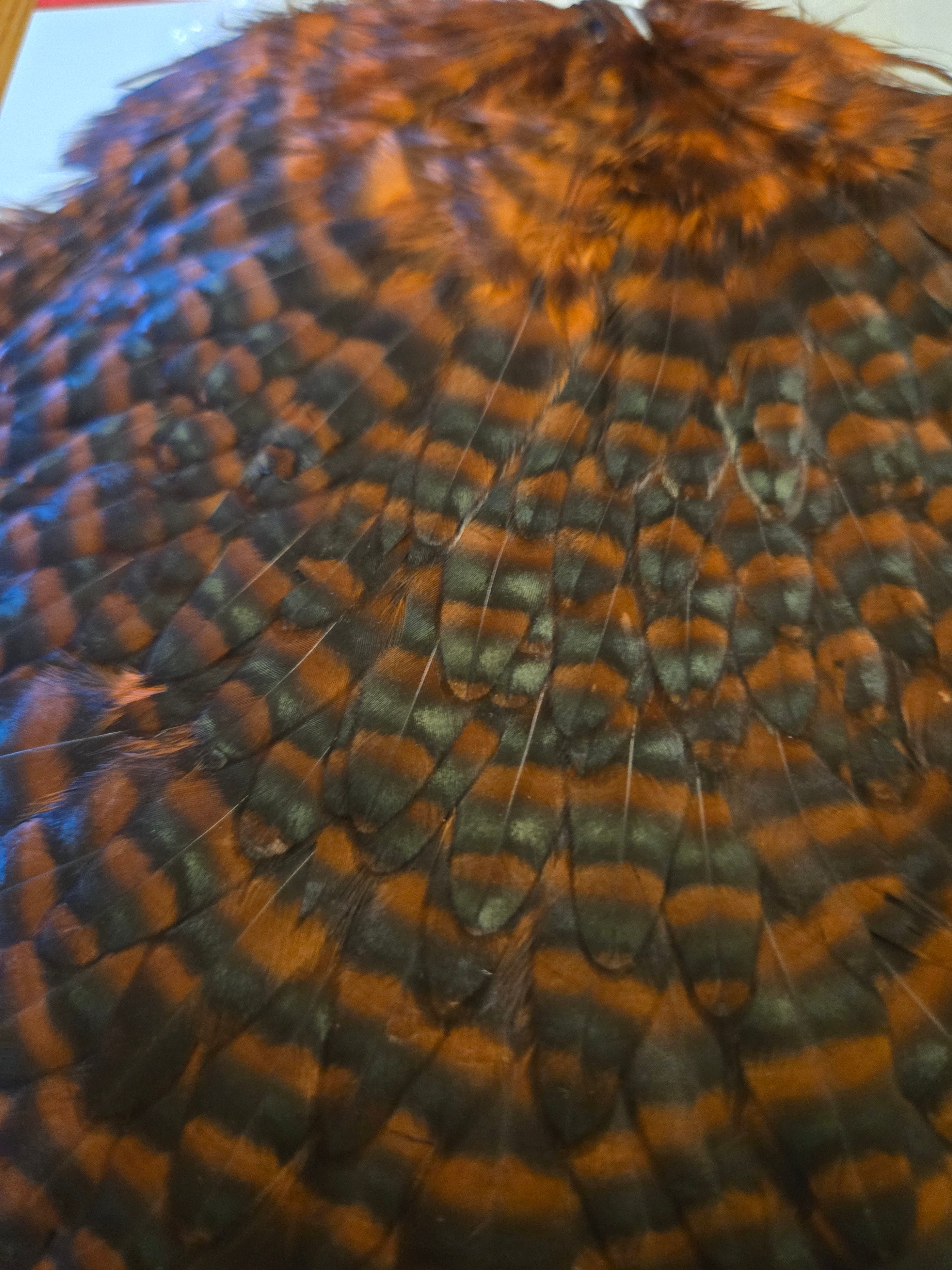 Whiting Wet Fly Hackle - Hen Saddle Grizzly Dyed Coachman Brown (7)