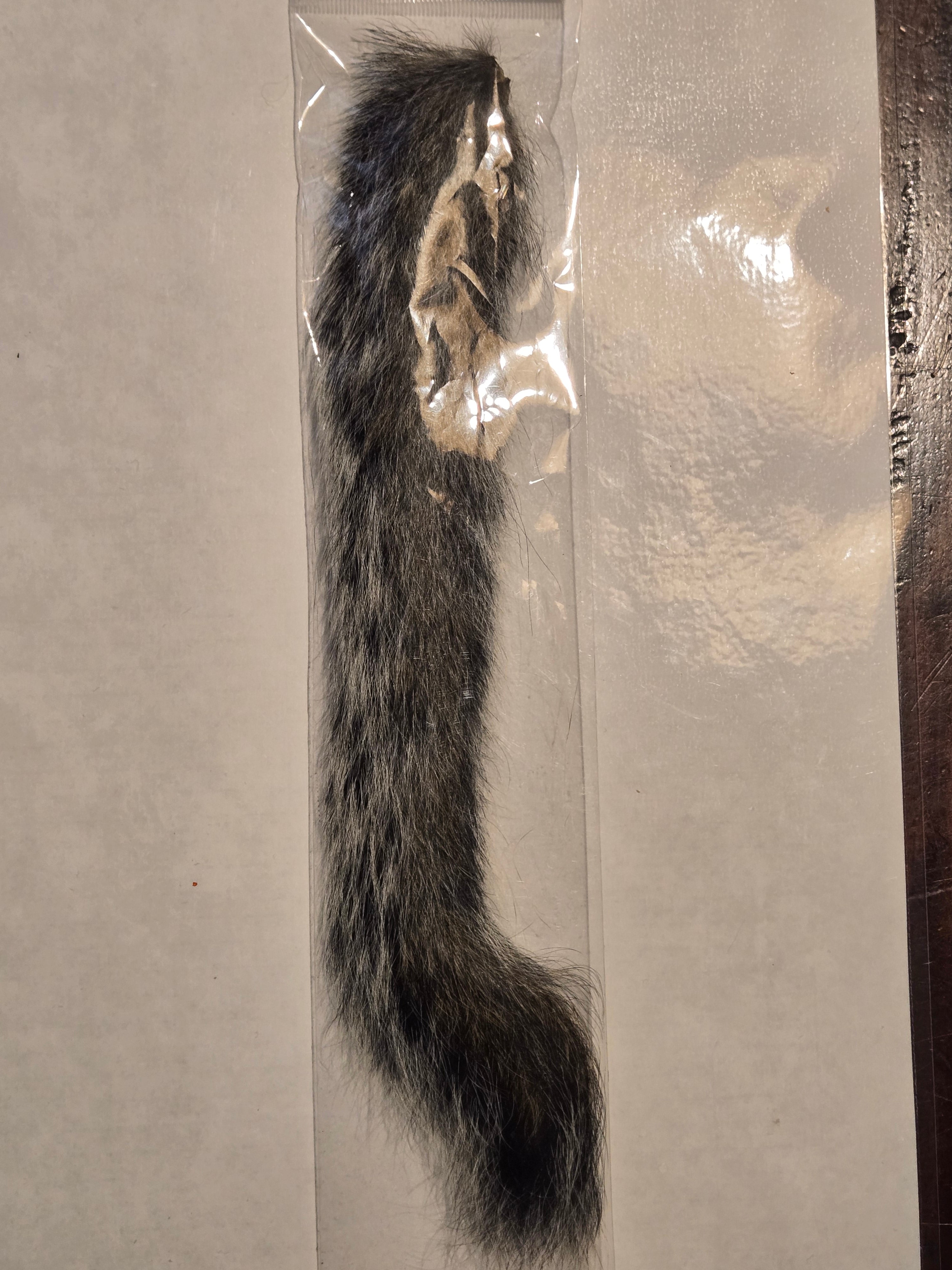 Squirrel Tail