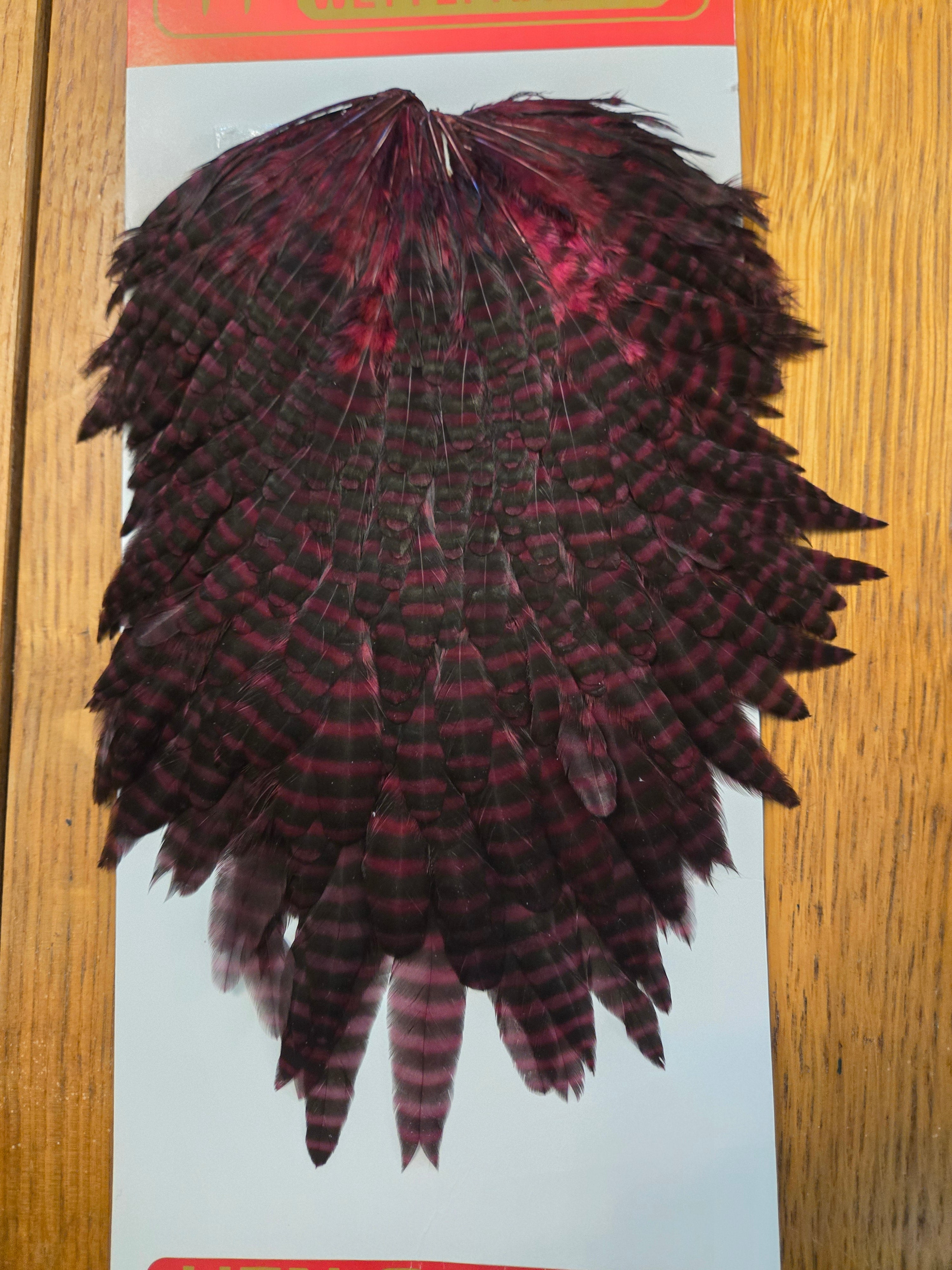 Whiting Wet Fly Hackle - Grizzly Dyed Claret (92)