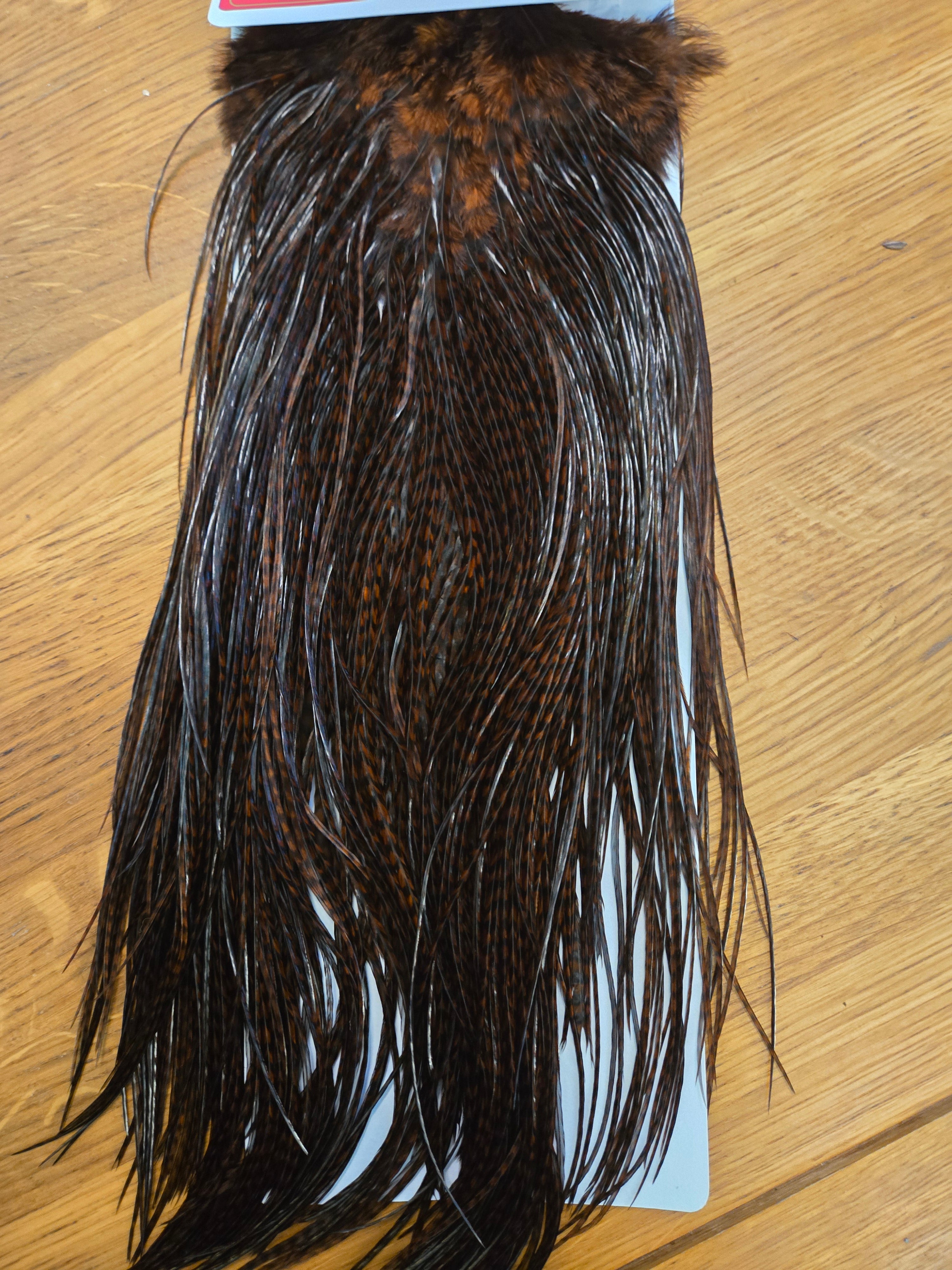 Whiting #002 Bronze Dry Fly Hackle - Rooster Saddle - Grizzly Dyed Coachman Brown