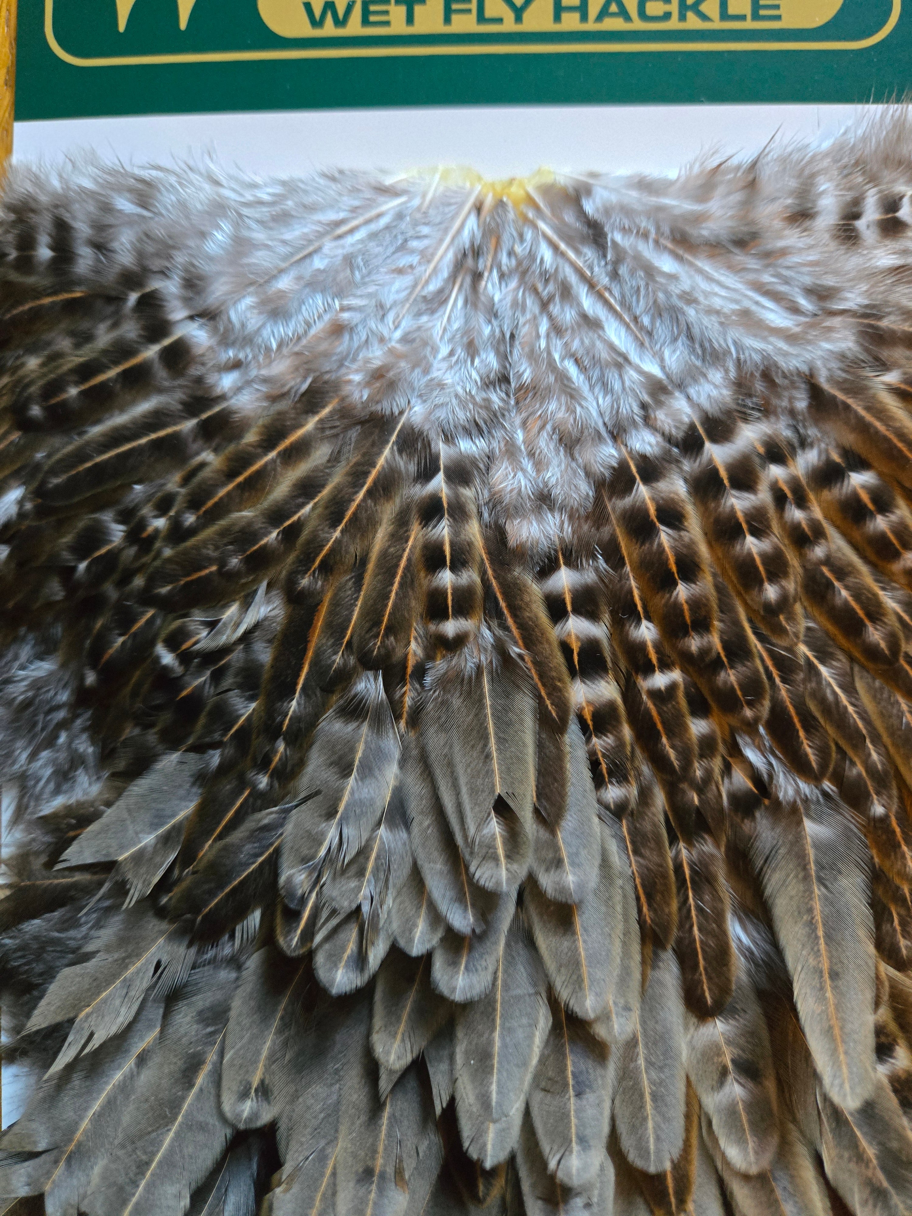 Whiting Hebert Miner Wet Fly Hackle - Hen Saddle Unique Variant (28)