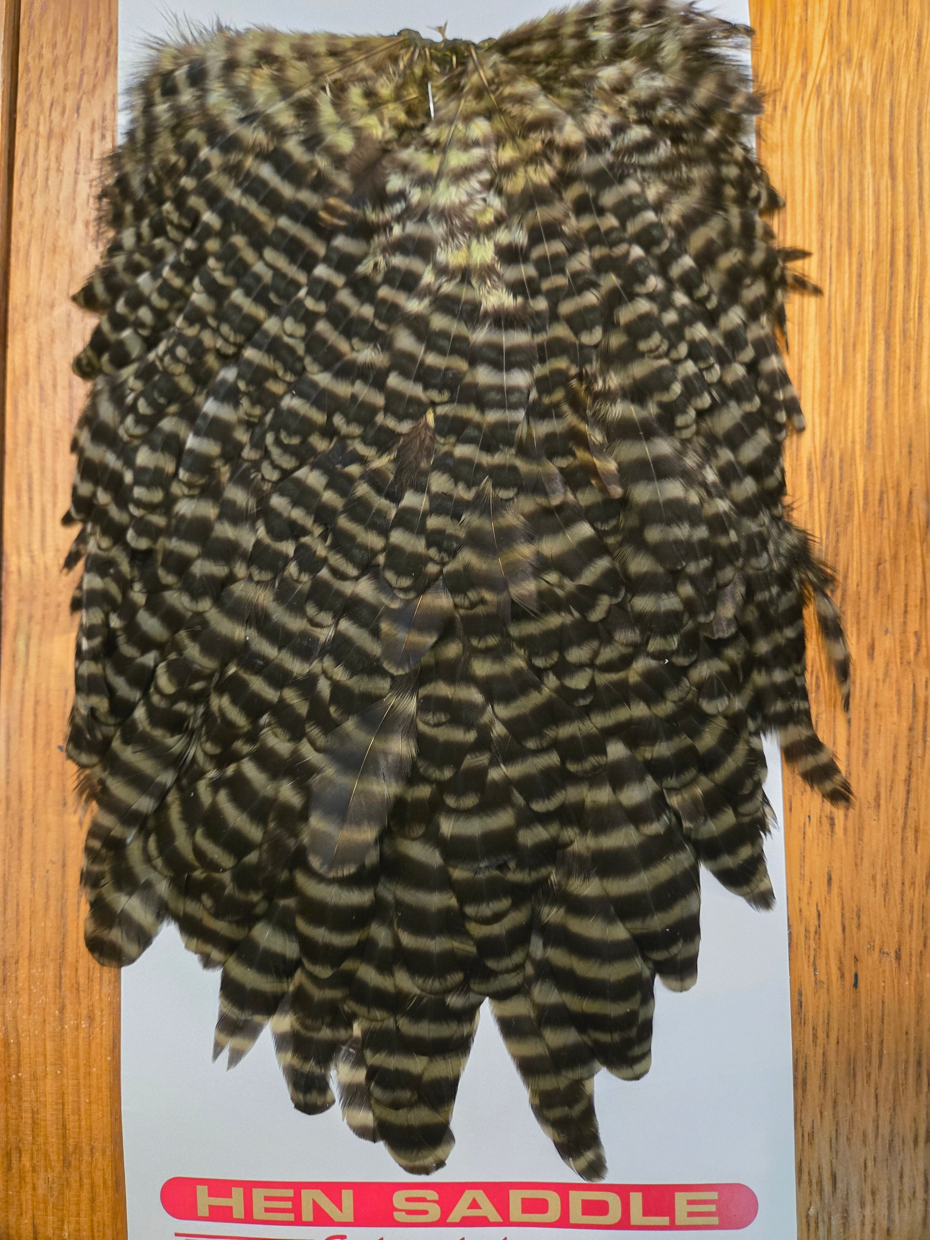 Whiting Wet Fly Hackle - Grizzly Dyed Dark Olive (96)