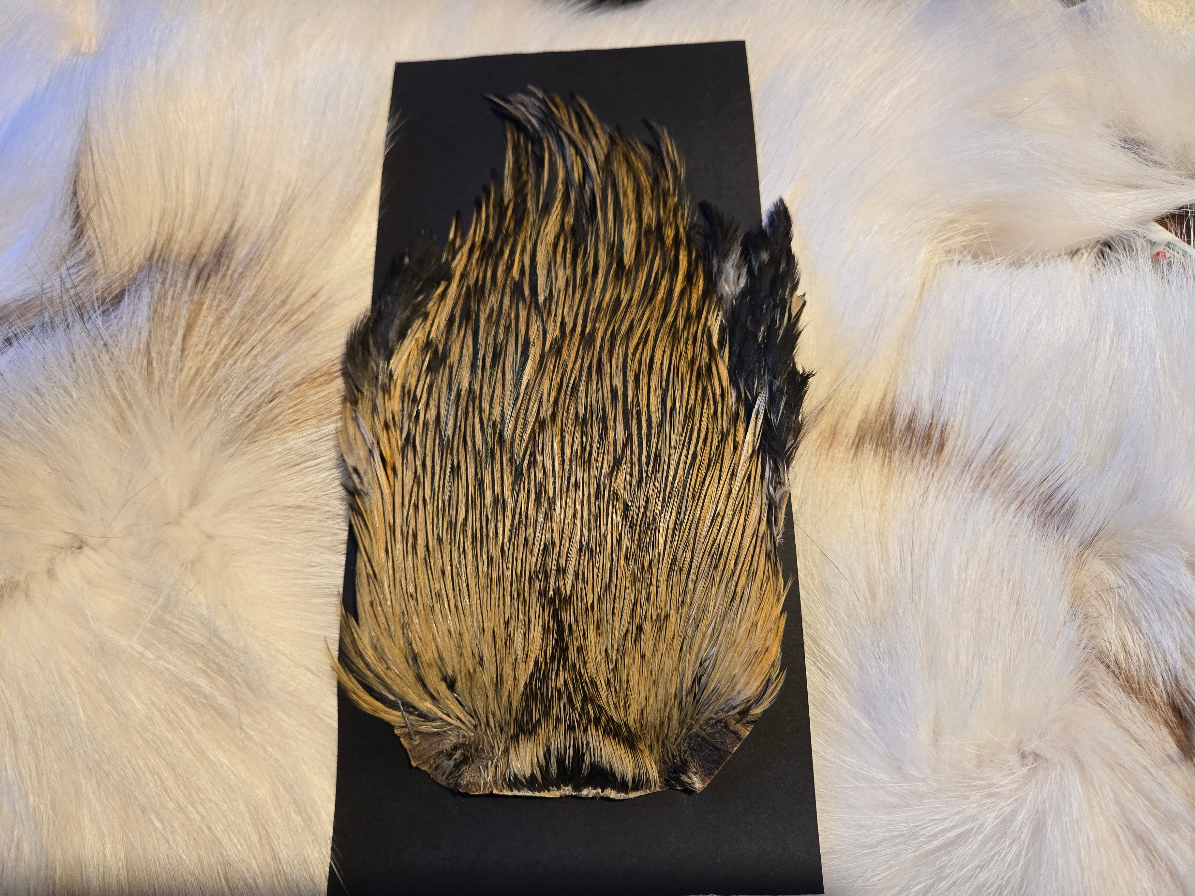 Indian Cock Neck Capes