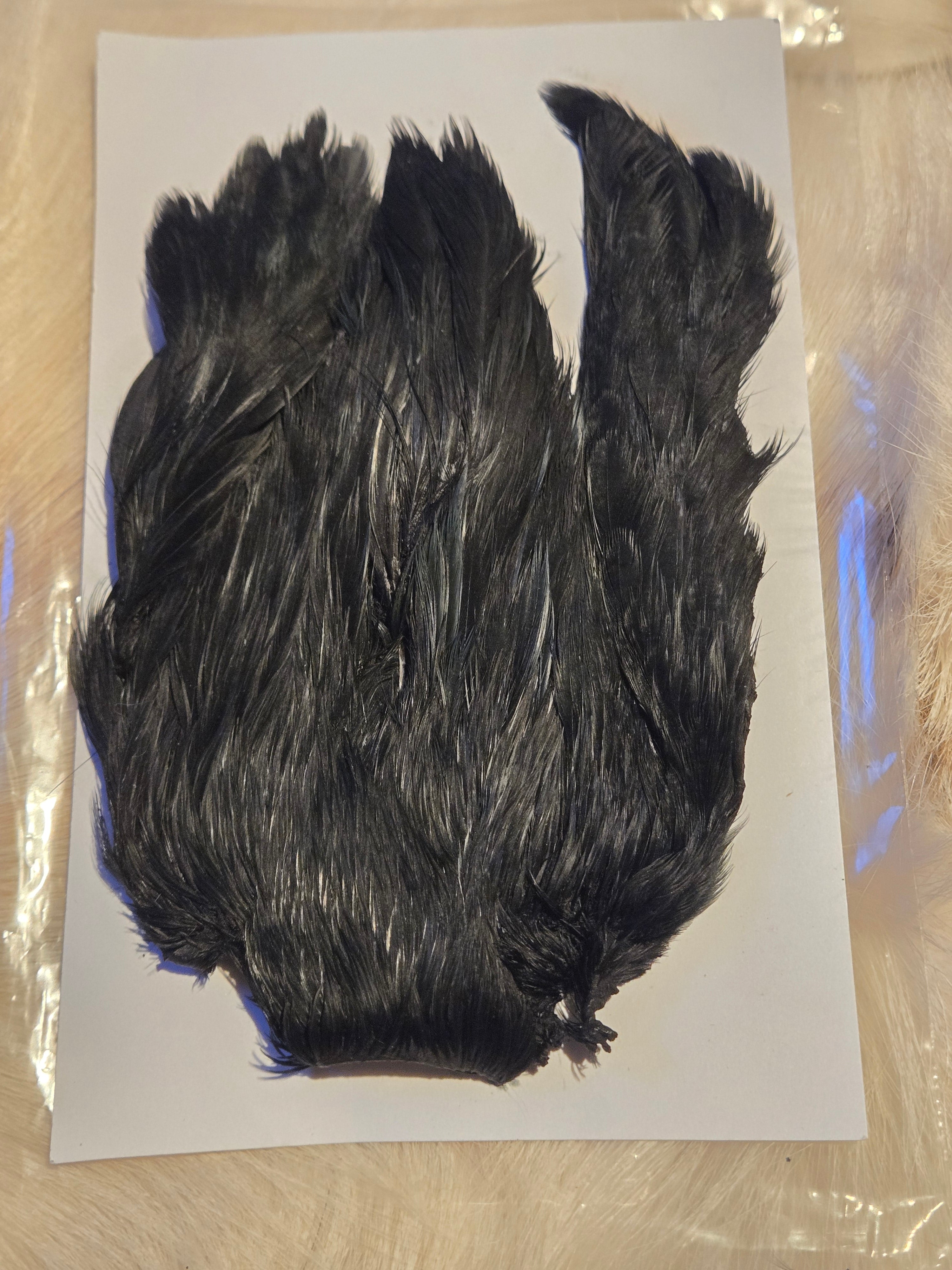 Indian Hen Neck