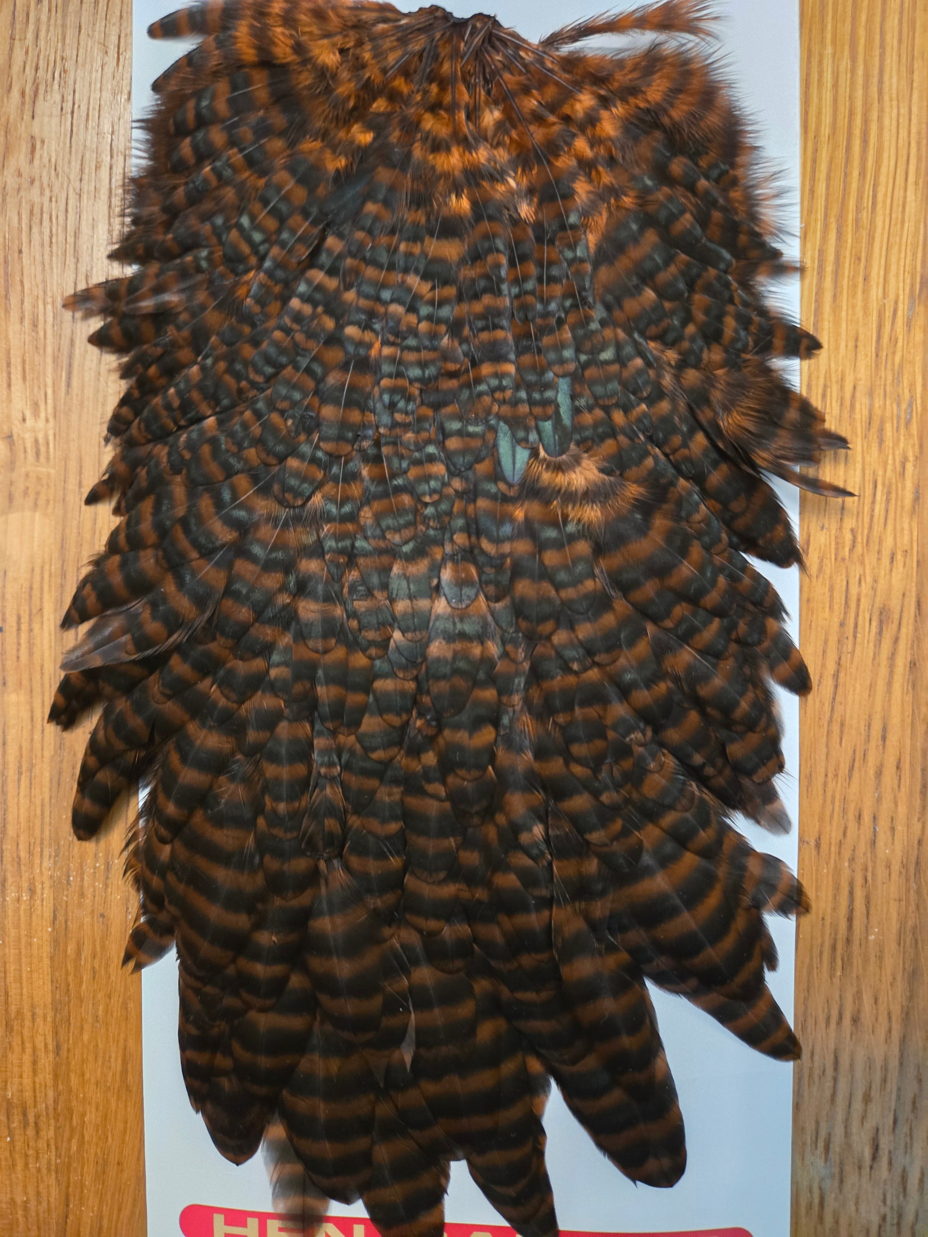 Whiting Wet Fly Hackle - Hen Saddle Grizzly Dyed Coachman Brown (11)