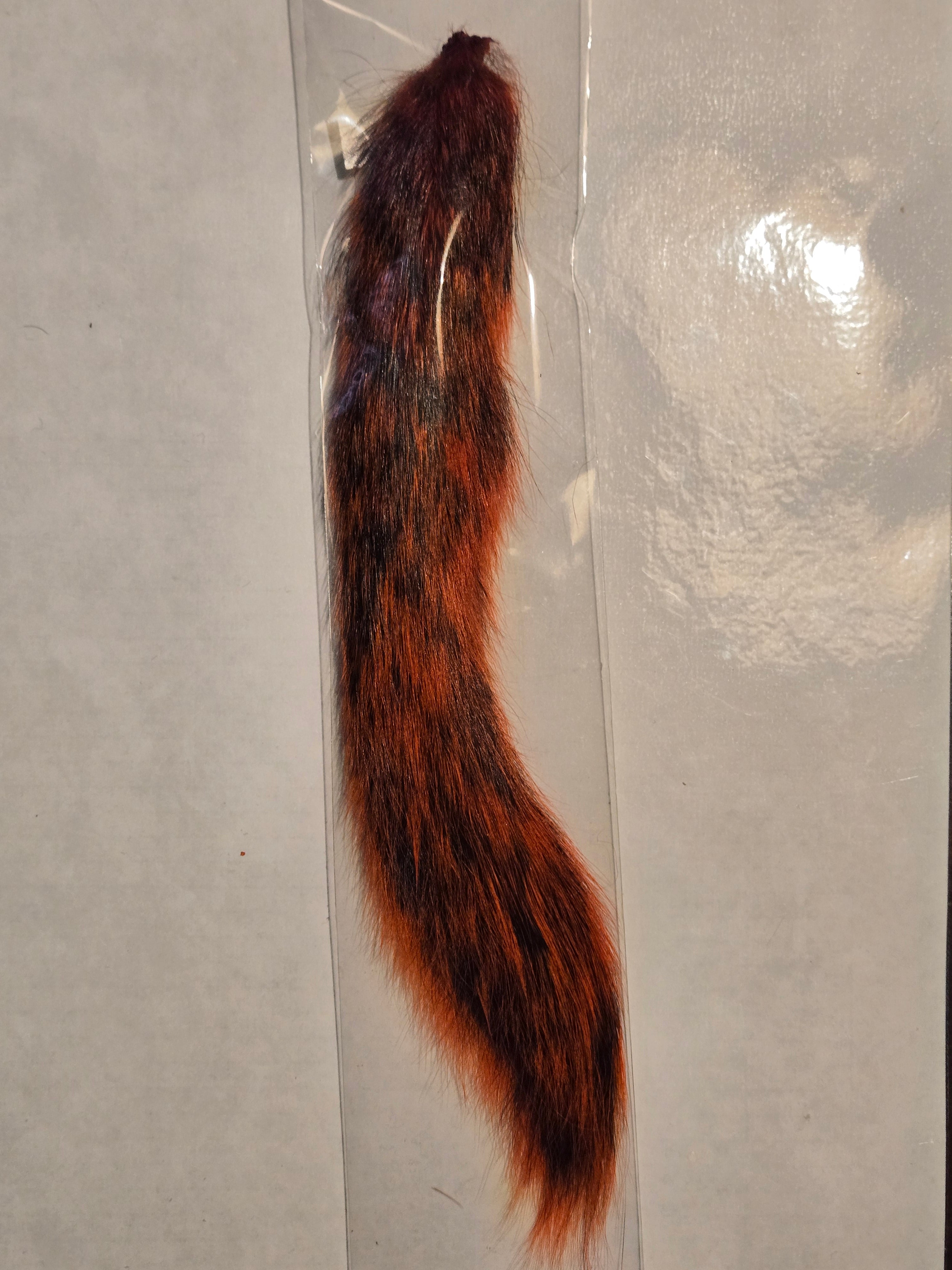 Squirrel Tail