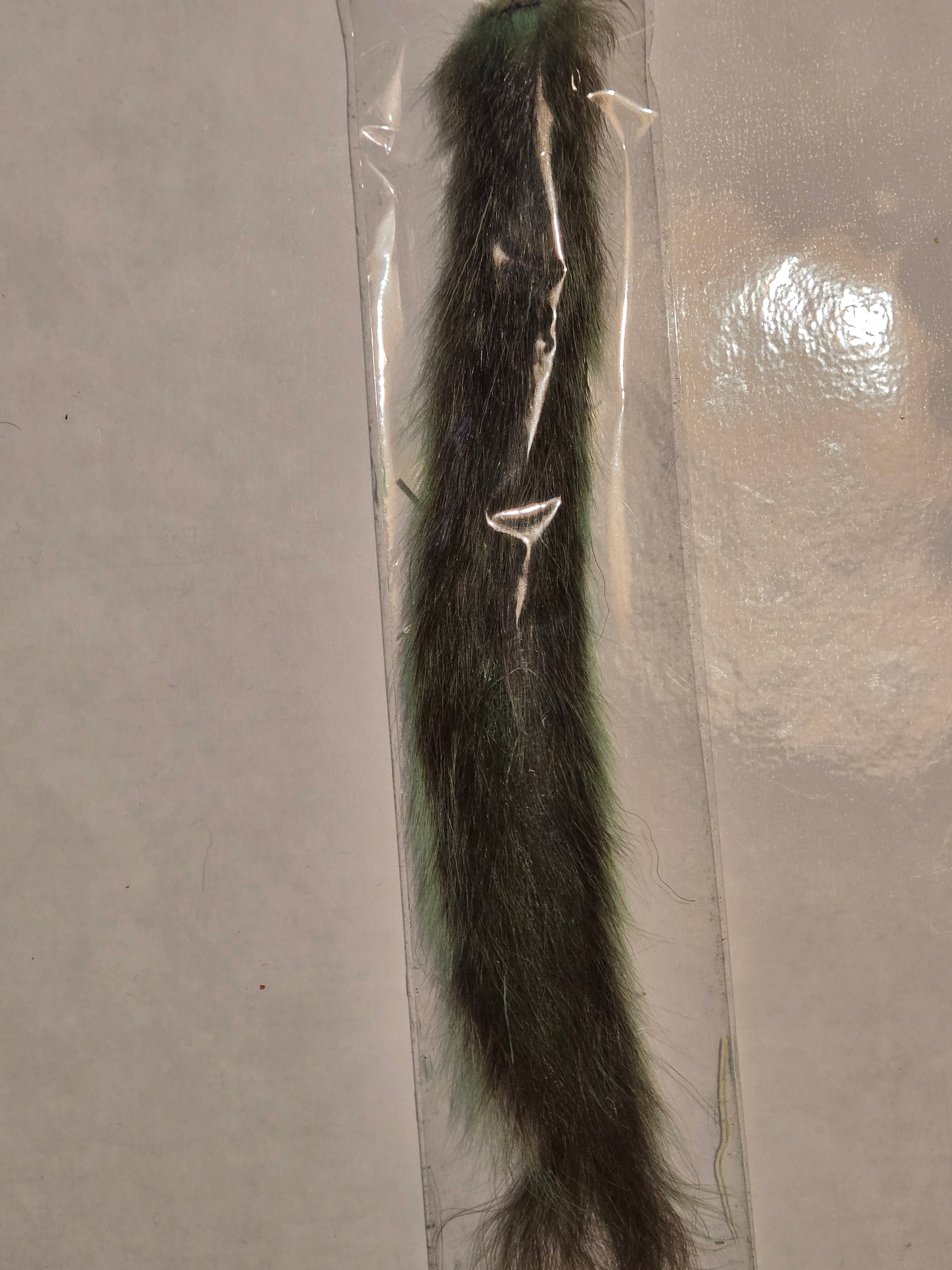 Squirrel Tail