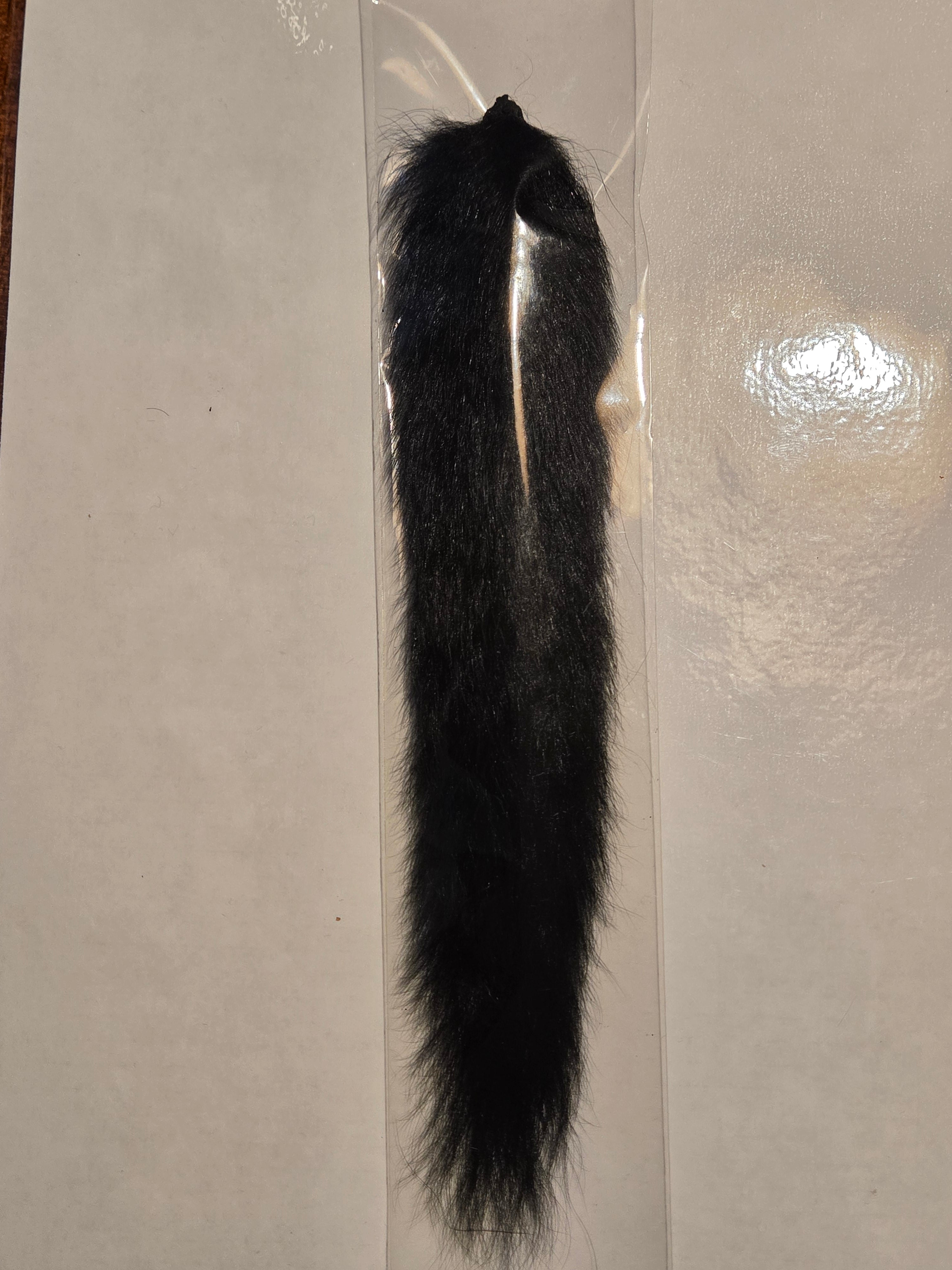 Squirrel Tail