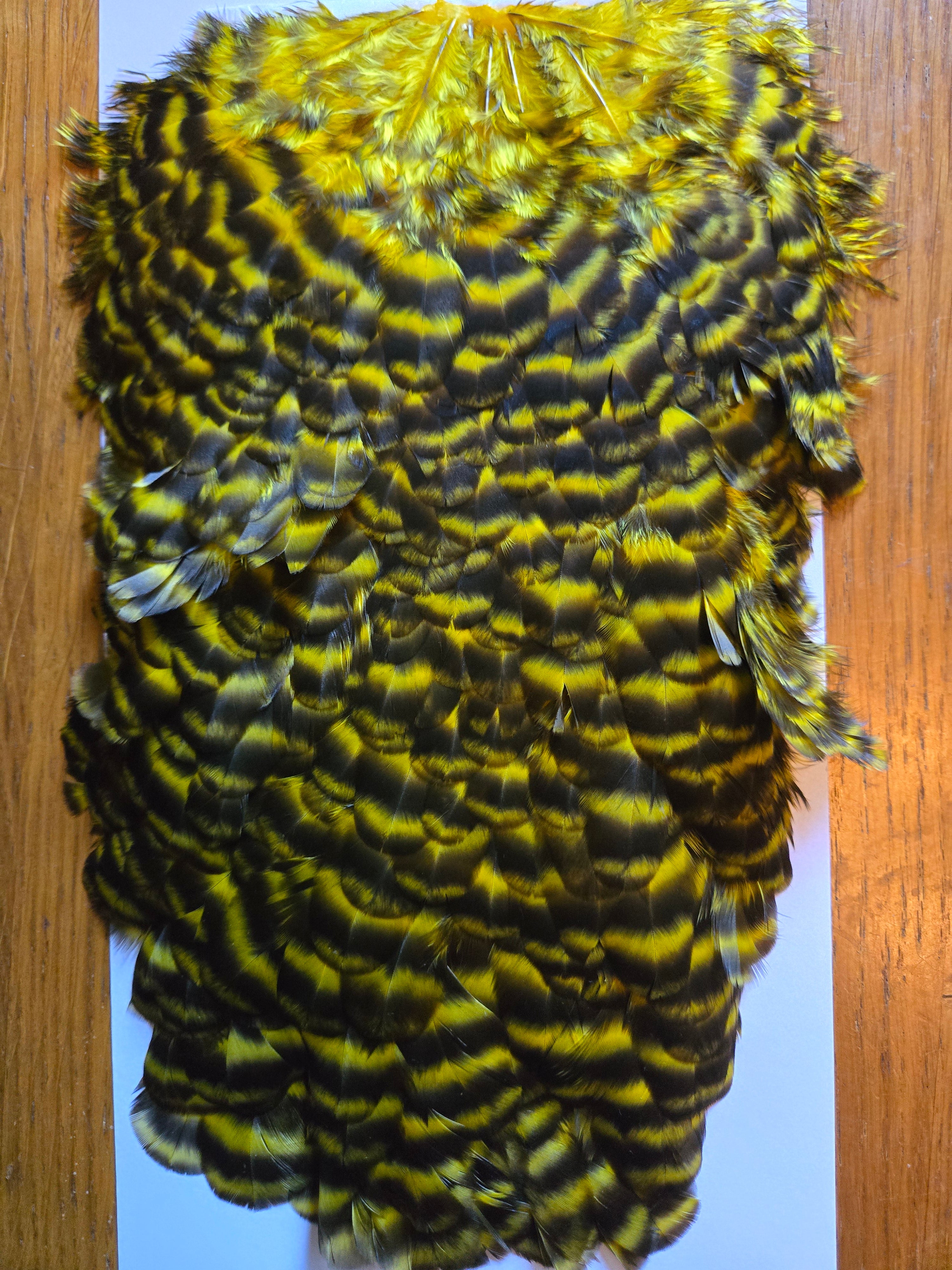 Whiting American Hackle - Hen Saddle Grizzly Dyed Yellow (24)