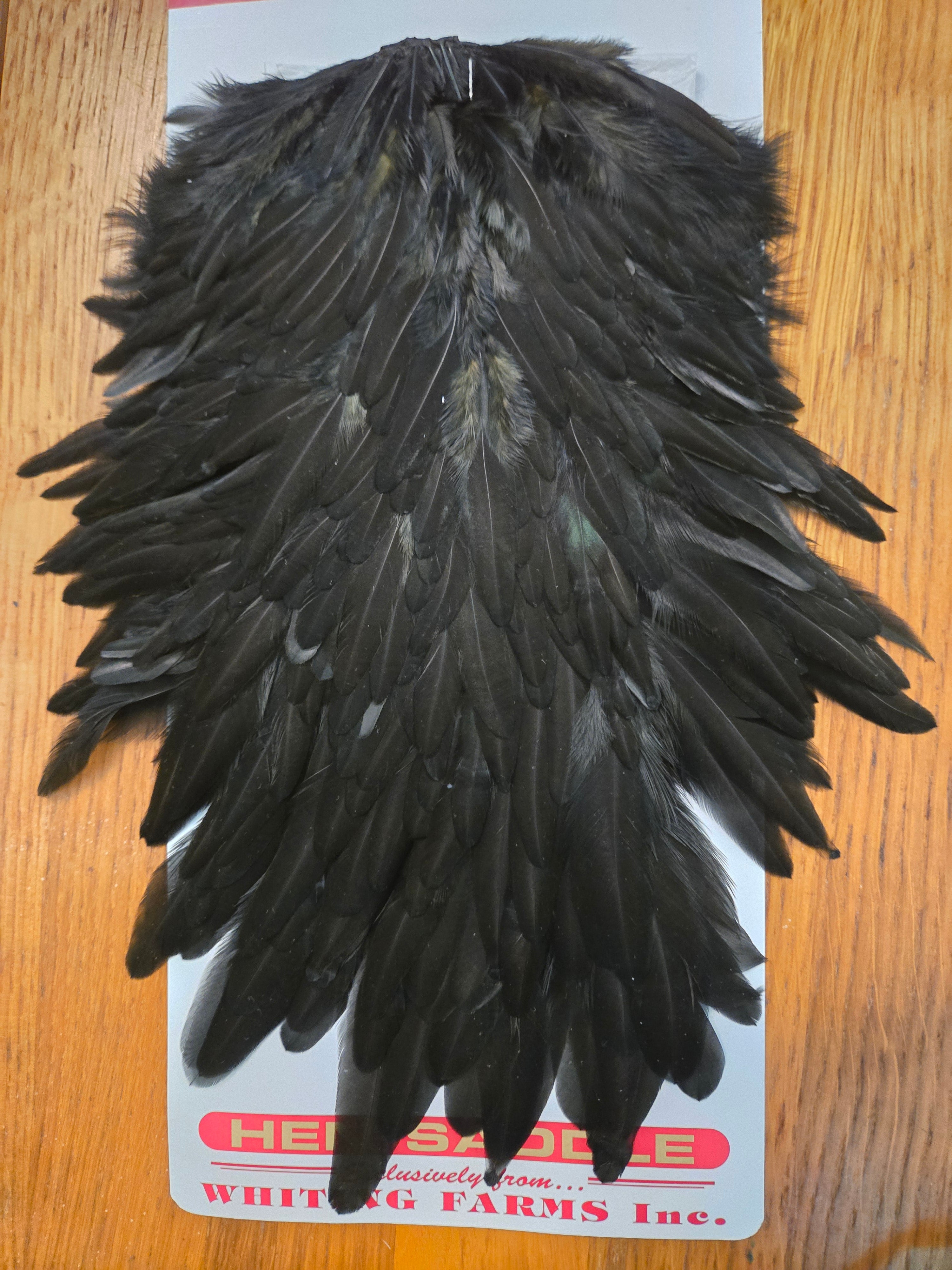 Whiting Wet Fly Hackle - Hen Saddle Black (21)